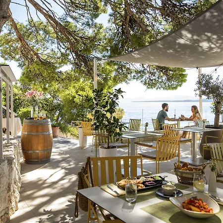 Отель Tui Blue Makarska - Adults Only Игране