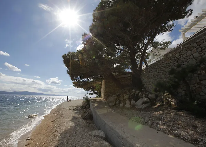 Hotell Tui Blue Makarska - Adults Only Igrane